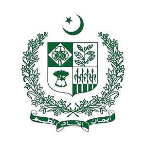WhatsApp_Image_2025-06-19_at_11.35.21_AM-removebg-preview